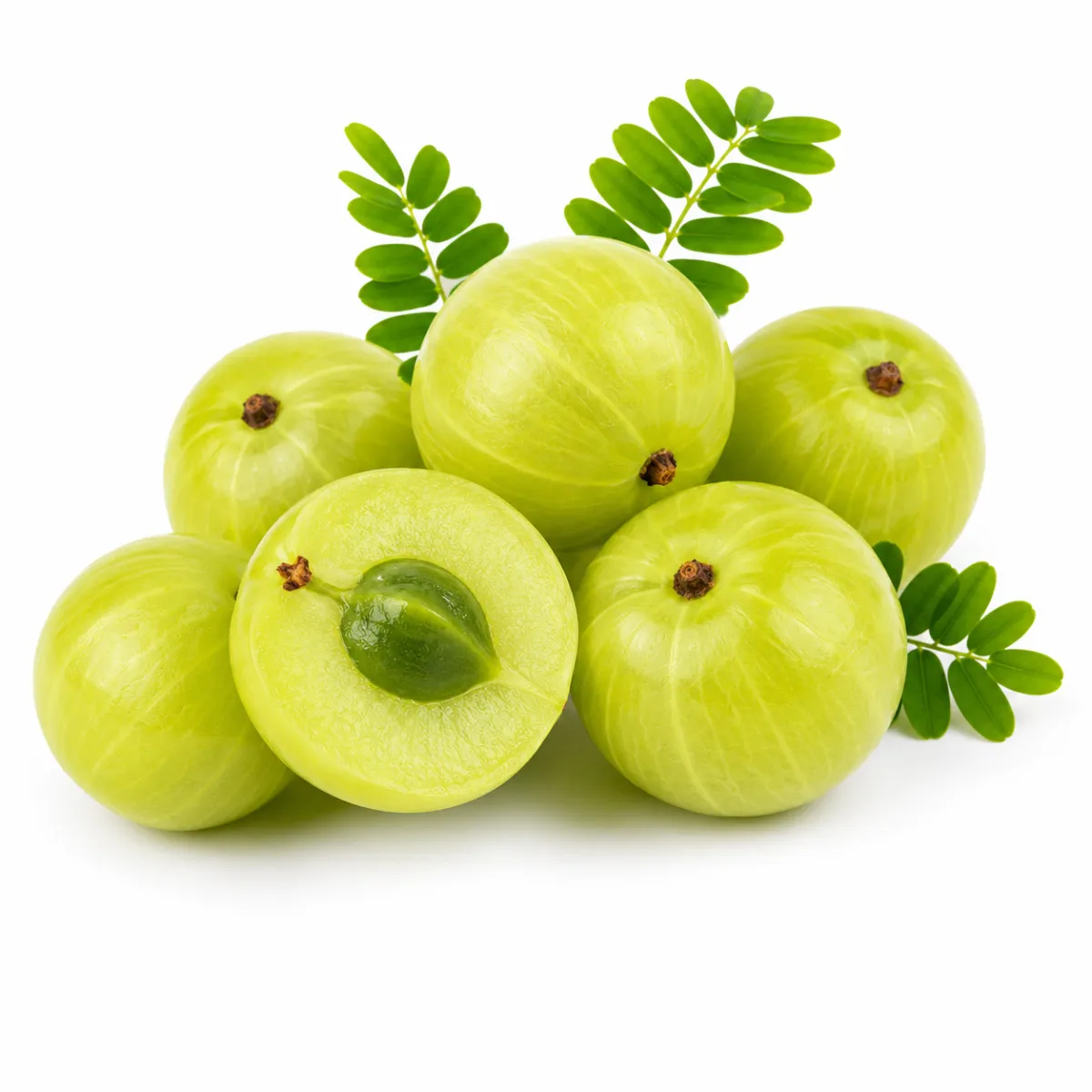 AMLA